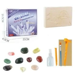 Enbaoxin Ausgrabung Lernen Spaß Spielzeug Für Kinder Archäologische Kits Spielzeug