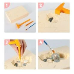 Enbaoxin Ausgrabung Lernen Spaß Spielzeug Für Kinder Archäologische Kits Spielzeug -Enbaoxin Verkaufsgeschäft 30789782 05